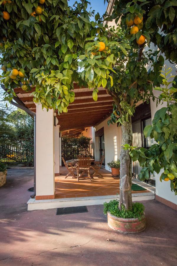 Tenuta Gran Paradiso Ξενοδοχείο Palombara Sabina Εξωτερικό φωτογραφία